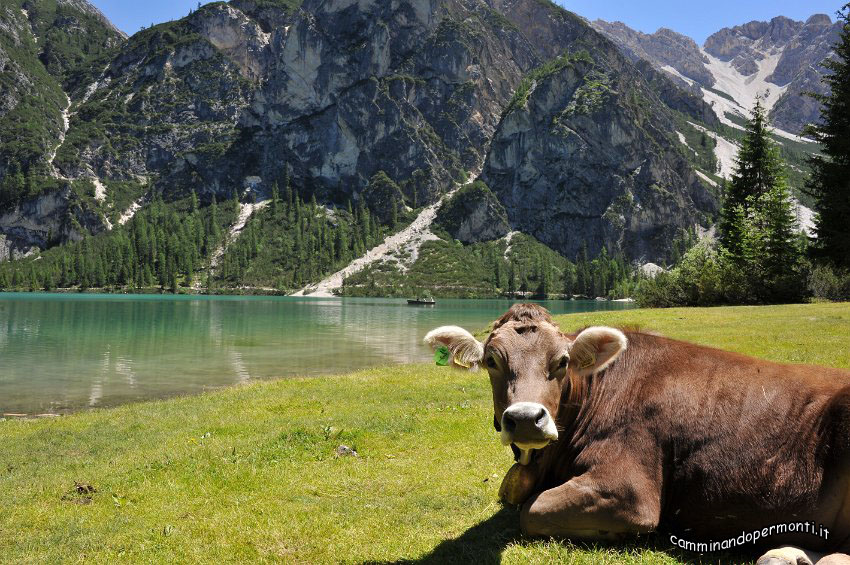 21 Lago di Braies.JPG